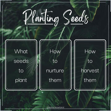Planting Seeds